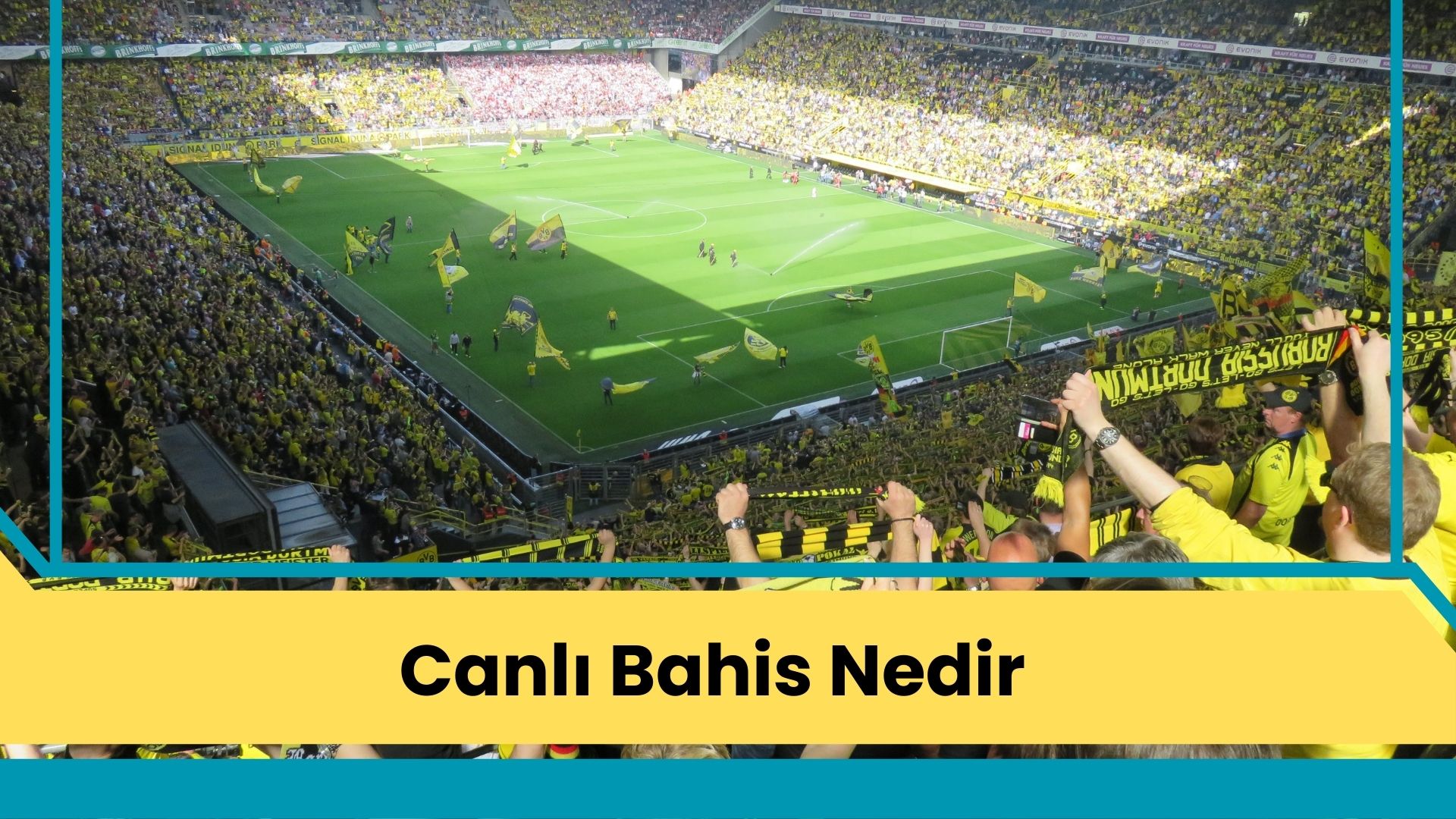 Canlı Bahis Nedir